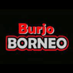 Logo Perusahaan Borneo Group Indonesia