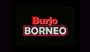 Logo Perusahaan Borneo Group Indonesia - Lowongan Kerja Cook – Sekertaris – HR Recruitment – Manager Outlet – Manager Keuangan