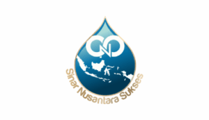 Logo Perusahaan PT. Sinar Nusantara Sukses - Lowongan Kerja Digital Marketing