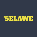Logo Perusahaan Selawe Labs