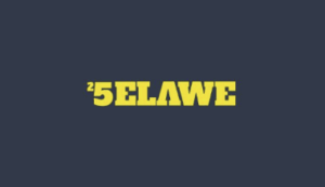 Logo Perusahaan Selawe Labs - Lowongan Kerja Social Media Specialist (Tiktok) – Social Media Staff – HR Staff