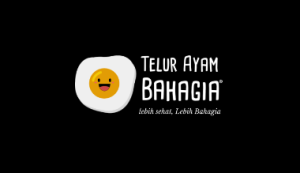 Logo Perusahaan CV. Telur Ayam Bahagia - Lowongan Kerja Admin Keuangan
