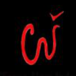 Logo Perusahaan PT. Warna Alam Indonesia - Lowongan Sales In House