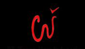 Logo Perusahaan PT. Warna Alam Indonesia - Lowongan Kerja Sales In House