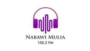 Logo Perusahaan Radio Nabawi Mulia - Lowongan Kerja Penyiar Radio / Staff Kreasi